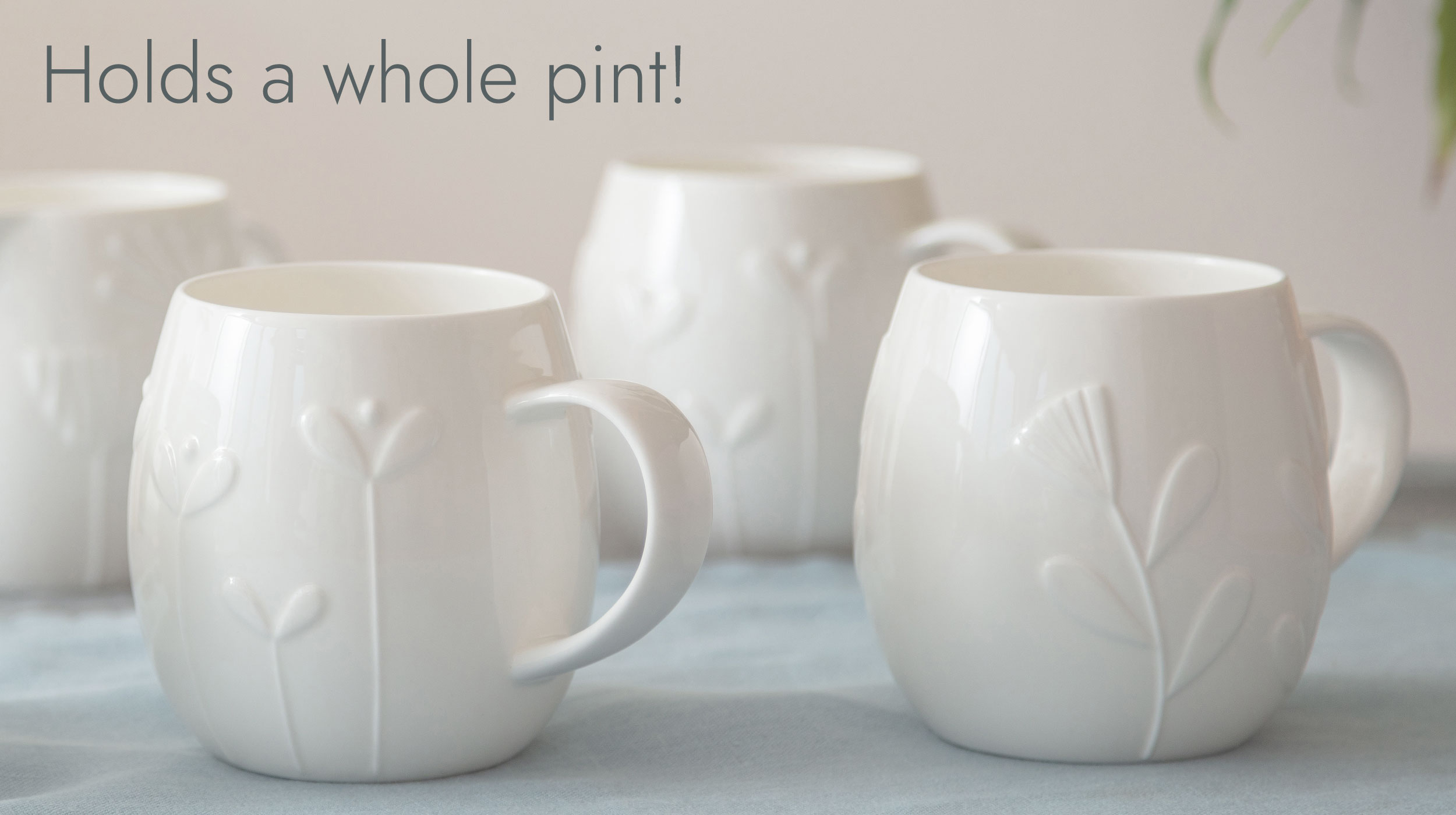 Plum Large Mugs
