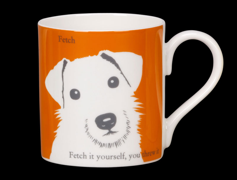 Portrait Jack Russell Orange