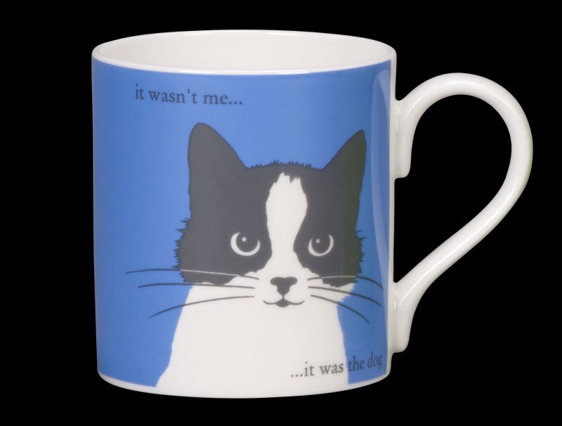 Portrait Whiskers Cornflower Blue