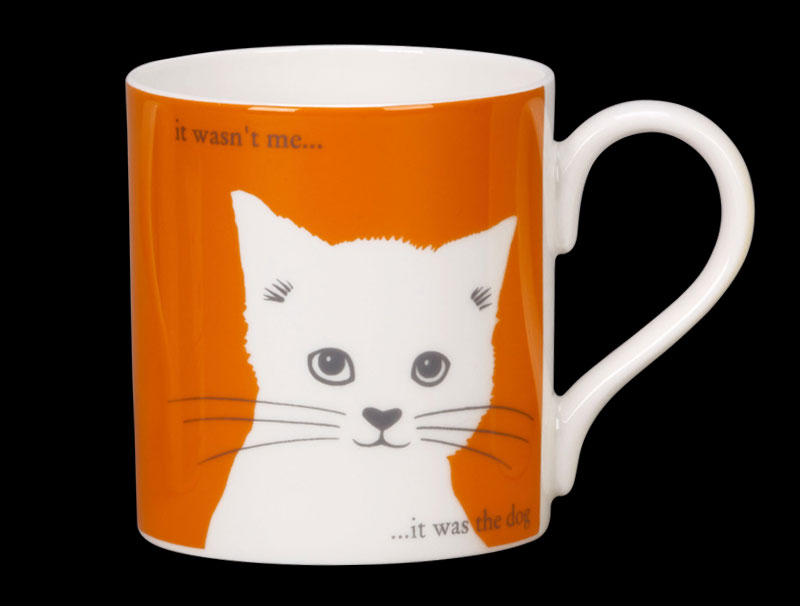 Portrait Puss in Orange