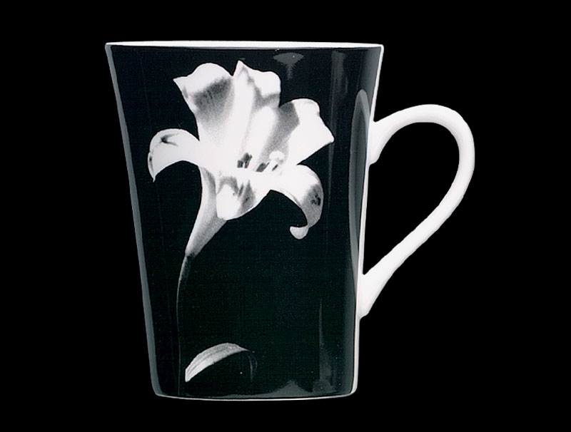 Fruit & Flower-star Lily