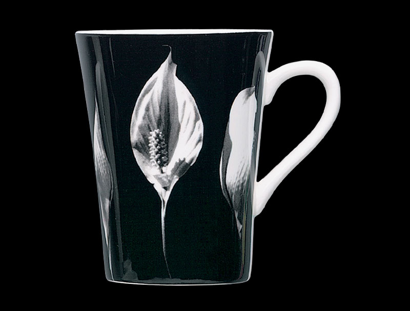 Fruit & Flower-peace Lily