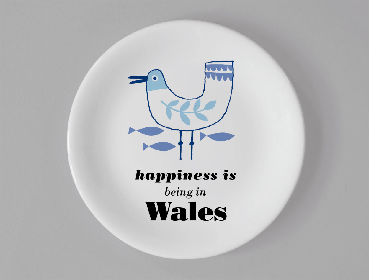 Ocean | Seagull Coaster | Wales