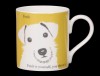 Portrait Jack Russell Yellow