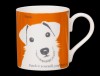 Portrait Jack Russell Orange