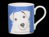 Portrait Jack Russell Cornflower Blue