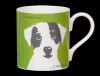 Portrait Scruff Apple Green