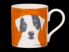 Portrait Scruff Orange