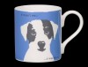 Portrait Scruff Cornflower Blue