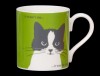 Portrait Whiskers Apple Green