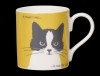 Portrait Whiskers Yellow