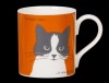 Portrait Whiskers Orange