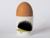 Happiness Hedgehog Egg Cup Olive