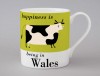Country & Coast | Wales Mug | Cow | Green