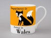 Country & Coast | Wales Mug | Fox | Orange