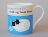 Happiness Homework Bone China Mug Turquoise