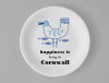 Ocean | Seagull Coaster | Cornwall