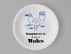Ocean | Seagull Coaster | Wales