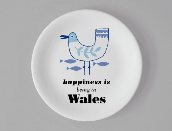 Ocean | Seagull Coaster | Wales